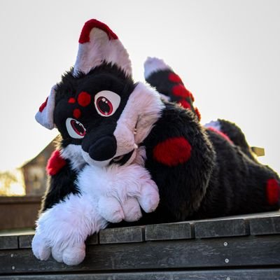 Kaz | 26 | 🏳️‍🌈🏳️‍⚧️ | he/they | Doggo | Taken | fursuit maker @sergnderg