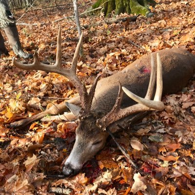 Husband, father of two beautiful little girls,  father two one soon to be hell raising son, and a police officer. I love hunting and being in the outdoors.