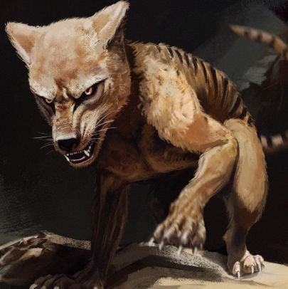 TheCricketTrag2's profile picture. cricket tragic, enough said