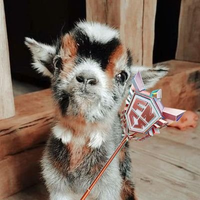 chhaveesx7's profile picture. 🇧🇷l competitive fortnite player 🎮 l 15y l