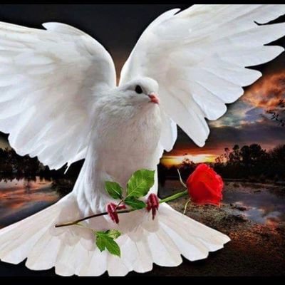 AARR27811's profile picture. 