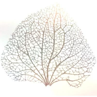 イトウモロコさんのプロフィール画像