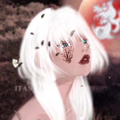 Tori Mirai✨|| INDEFINITE HIATUSさんのプロフィール画像
