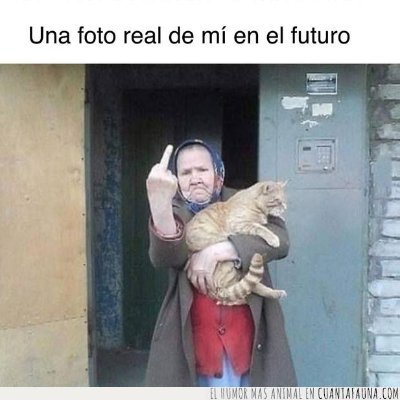 senorafeten's profile picture. 