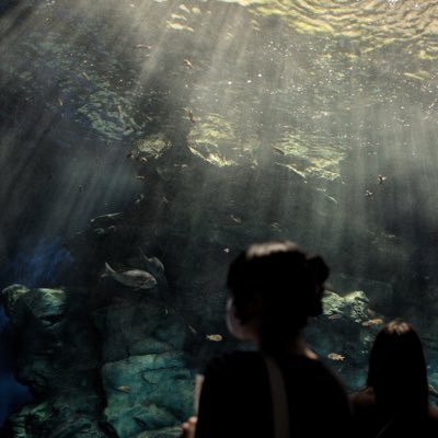 Enceladus00's profile picture. 恐れ入ります。別垢：@R51272152