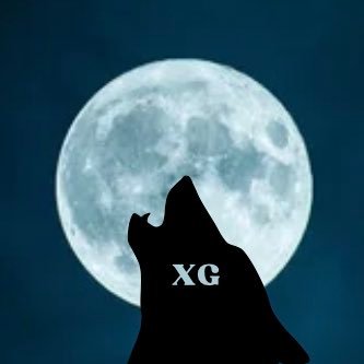 Fanbase Française de @XGOfficial_ / #JURIN / #CHISA / #JURIA / #HINATA / #MAYA / #HARVEY / #COCONA || toutes les updates traduites & CG