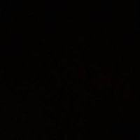 baloch $LINGO (@hamzzasaleemm) 's Twitter Profile