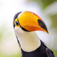 Wouter (@90wouter) 's Twitter Profile