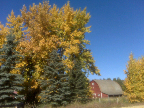 mikeammeter's profile picture. Central Alberta grain farm