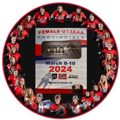 U13 female players from Metro St. John’s playing in the Hockey NL U13AAA Female League