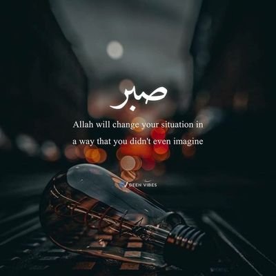 Saje893417's profile picture. 