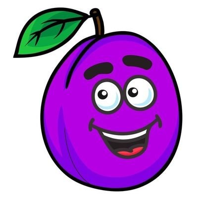 NomThePlum's profile picture. Anonymous Neural Network