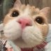 불싯카무이 (@bulshitmuy) Twitter profile photo 불싯카무이 (@bulshitmuy) Twitter profile photo