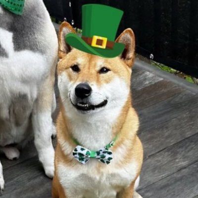 idatherread_69's profile picture. 