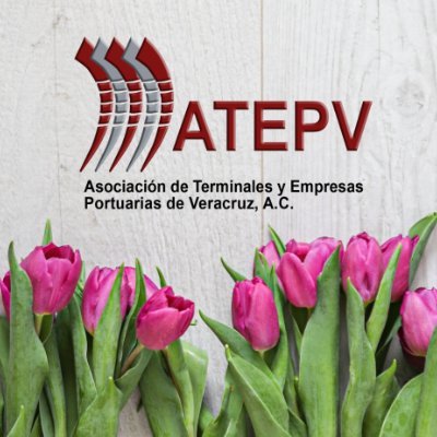 Asociacion de Terminales y Empresas Portuarias de Veracruz, A.C