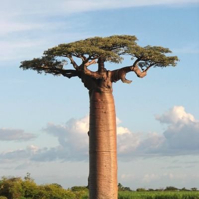 rageshmurali's profile picture. True adventure begins when everything goes wrong - Yvon Chouinard