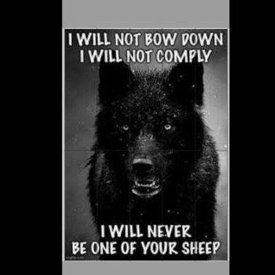 V_E_Patriot's profile picture. 🇺🇲🙏
I may be new to X but I've been Awake for years!
America First! 
We The People are the plan!     
Truth.. @V_E_Patriot