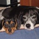 Julie Rule - @NetRule - Twitter