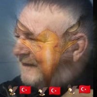 Mehmet Orak🦅🦅🦅(@MehmetO80424816) 's Twitter Profile Photo