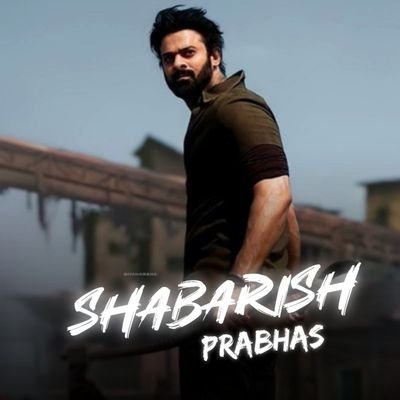 Shbrish1 Profile Picture