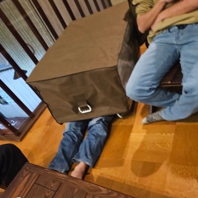 NekuroZma's profile picture. \2002/