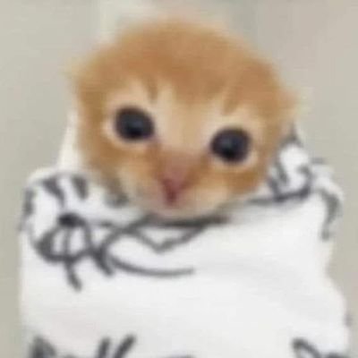 kyoさんのプロフィール画像