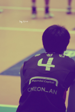 moonsungmin_bot's profile picture. 현대캐피탈 문성민선수봇입니다! 답멘잘해드려요!