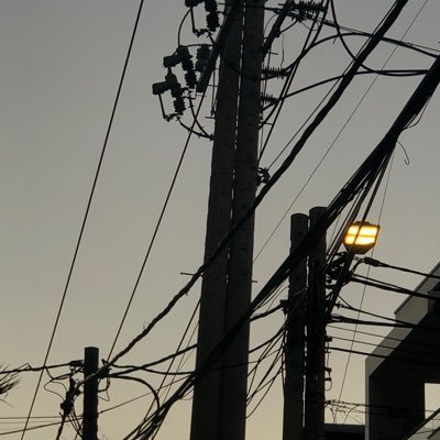 TheNFTGuide_20's profile picture. 