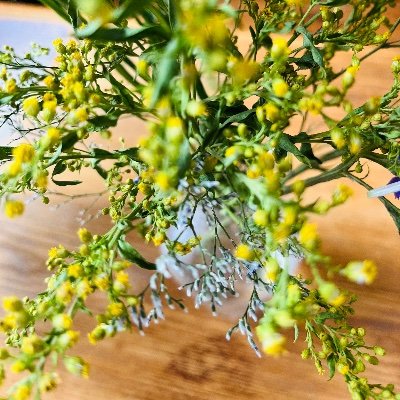 Agaataa21's profile picture. 