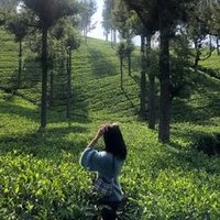 Dura Riris Kahiya (@sagehijauu) 's Twitter Profile