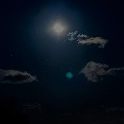 machhama's profile picture. 