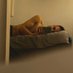 Athanasios_ov (@horny_ov) Twitter profile photo Athanasios_ov (@horny_ov) Twitter profile photo