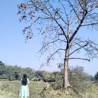 Shivani singh(@Shivani78566083) 's Twitter Profile Photo