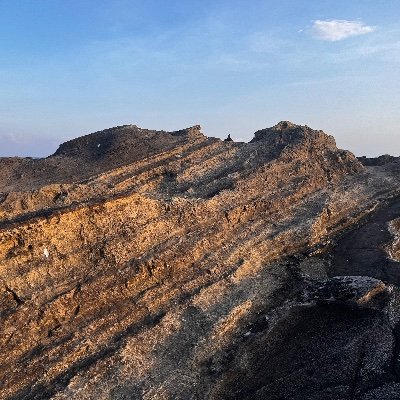 kullch_n's profile picture. テンノウギツネ