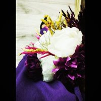 Haticee (@simurg005) 's Twitter Profile