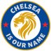 Chelsea Is Our Name (@cfcisourname_) Twitter profile photo