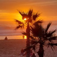 enrique santiago (@enriquesan11070) 's Twitter Profile Photo enrique santiago (@enriquesan11070) 's Twitter Profile Photo