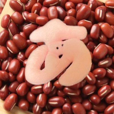 @sayaka_mego_pt @mego_sayaka_pt 好きなのは君だけ