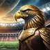 Iron Hawks (@ironhawksfc) Twitter profile photo Iron Hawks (@ironhawksfc) Twitter profile photo