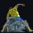 hllbdroglu's profile image
