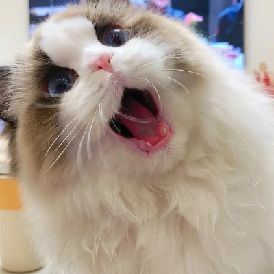 Gkjqxzzz's profile picture. Never allow yourself to get discouraged and think that your life is insignificant and can’t make a change.