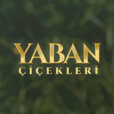 Yaban Çiçekleri dizisi X hesabıdır.