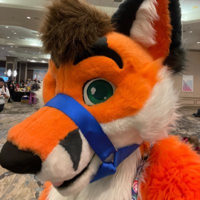 Professional Fursuit Sniffer 🔜 ANE