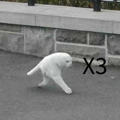 0.5 x 3 cat