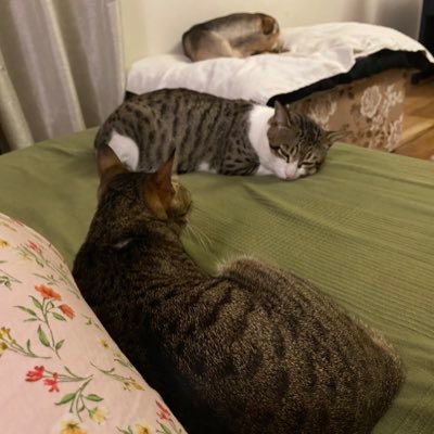 ambarjeet's profile picture. The more we come out and do good to others, the more our hearts will be purified, and God will be in them. Swami Vivekananda