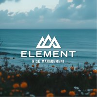 Element Risk Management(@element_risk) 's Twitter Profile Photo