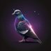 City Pigeon (@citypigeonnola) Twitter profile photo City Pigeon (@citypigeonnola) Twitter profile photo