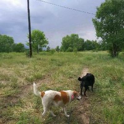 baffled_life's profile picture. 