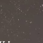 mi_ry75193's profile picture. 