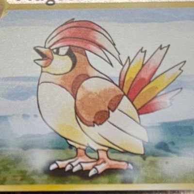 Collecting bird Pokémon cards!! English/Rarest parallel/Every unique #. https://t.co/srTxx72Fvg